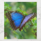 Blauer Schmetterling Weinetikett (Einzelnes Label)