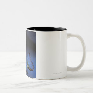 Blauer Schmetterling Zweifarbige Tasse