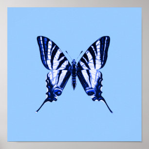 Blauer Schmetterlingsplakat Poster