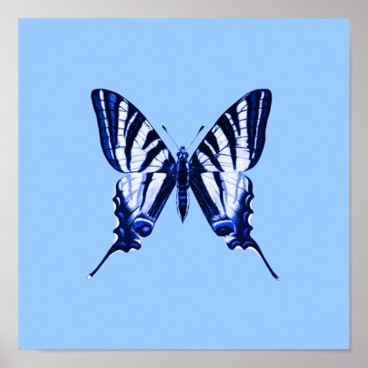 Blauer Schmetterlingsplakat Poster (Vorne)
