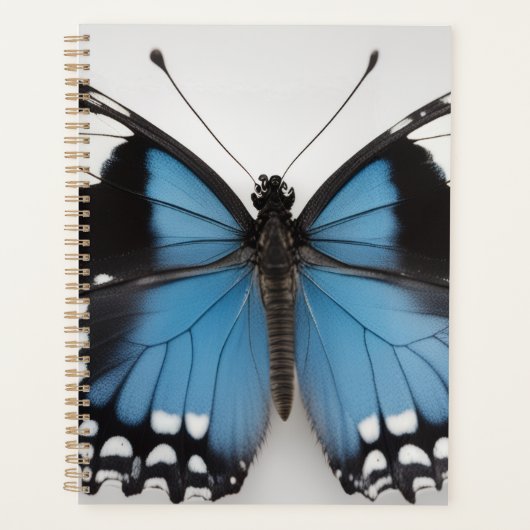 Blauer Schmetterlingsplaner Planer (Vorderseite)