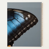Blauer Schmetterlingsplaner Planer (Rückseite)