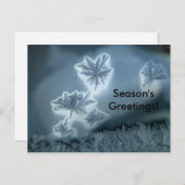 Blauer Schnee Postkarte (Vorne/Hinten)