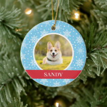 Blauer Schneeflockenhund