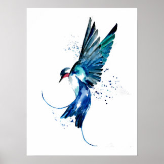 Blauer Schwalbenvogel Poster