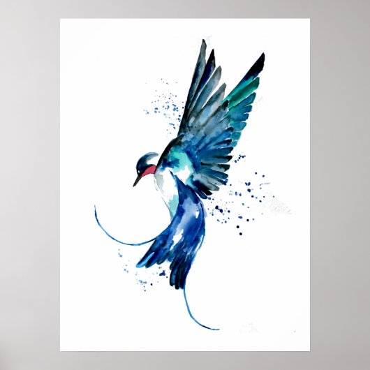 Blauer Schwalbenvogel Poster (Vorne)
