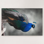 Blauer Schwarzweiss-Pfau 1014 Stücke erwachsen Puzzle (Horizontal)