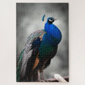 Blauer Schwarzweiss-Pfau 1014 Stücke erwachsen Puzzle (Vertikal)