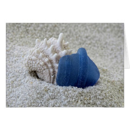 Blauer Seeglatt und Seashell
