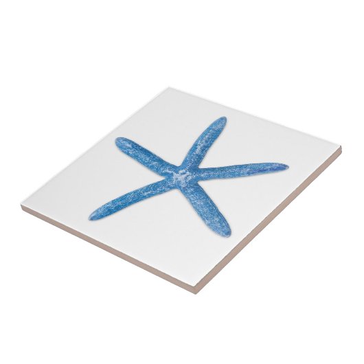 Blauer Seeteufel Fliese (Seite)