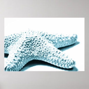 Blauer Seeteufel Poster