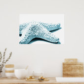 Blauer Seeteufel Poster (Küche)