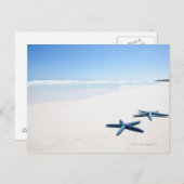 Blauer Seeteufel Postkarte (Vorne/Hinten)