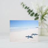 Blauer Seeteufel Postkarte (Stehend Vorderseite)