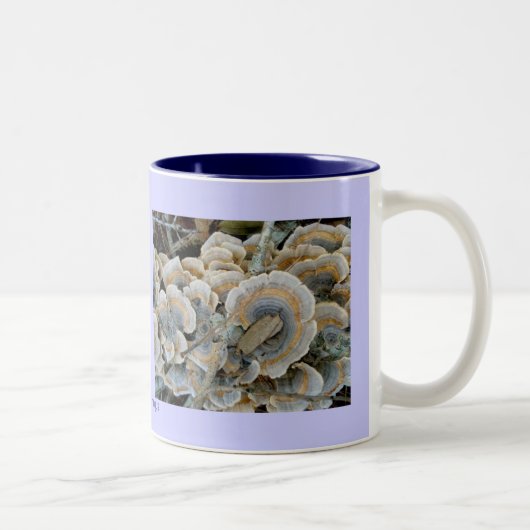 Blauer Shelf Fungus Tasse (Rechts)