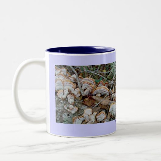 Blauer Shelf Fungus Tasse (Links)