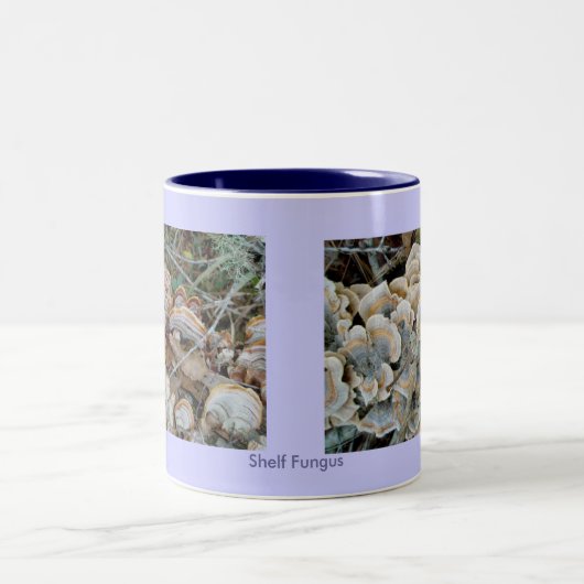 Blauer Shelf Fungus Tasse (Mittel)