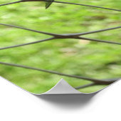 Blauer Skimmer Poster (Ecke)