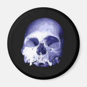 Blauer Skull Magnet
