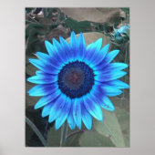 Blauer Sonnenblumenposter Poster (Vorne)