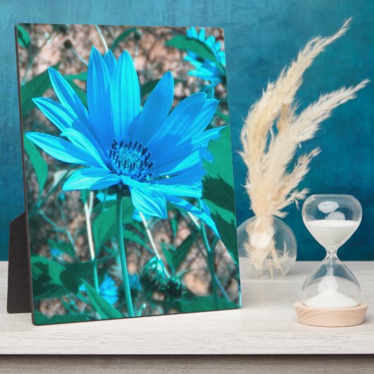 Blauer Sonnenblumenschild Foto Fotoplatte (Seite)