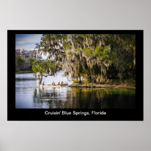 Blauer Springer von Cruisin, Florida Poster