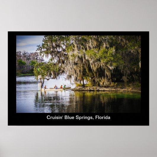 Blauer Springer von Cruisin, Florida Poster (Vorne)