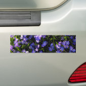 Blauer Squill Spring Blumen Autoaufkleber (Auf Auto)