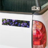 Blauer Squill Spring Blumen Autoaufkleber (Auf Lkw)