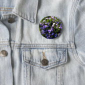 Blauer Squill Spring Blumen Button (Beispiel)