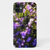 Blauer Squill Spring Blumen Case-Mate iPhone Hülle (Rückseite)