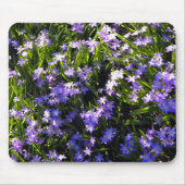 Blauer Squill Spring Blumen Mousepad (Vorne)