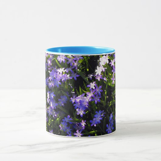 Blauer Squill Spring Blumen Tasse (Zentrum)