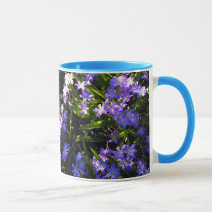 Blauer Squill Spring Blumen Tasse