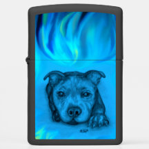 Blauer Staffy-Welpe
