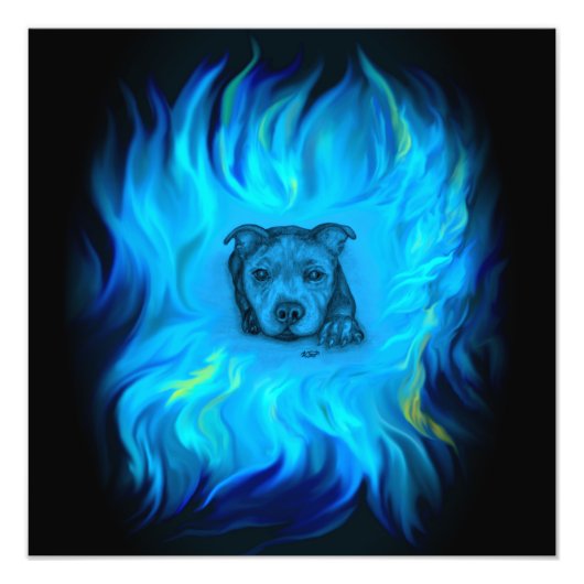 Blauer Staffy-Welpe Fotodruck (Vorne)