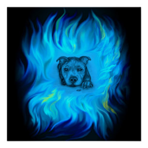 Blauer Staffy-Welpe Poster