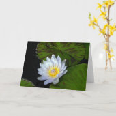Blauer Stern Lotus Karte (Gelbe Blume)