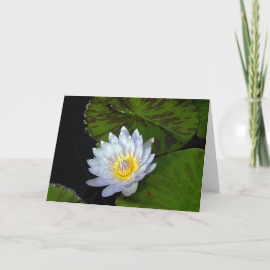 Blauer Stern Lotus Karte (Vorderseite)