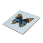 Blauer Stiefmütterchen-Schmetterling Fliese (Seite)