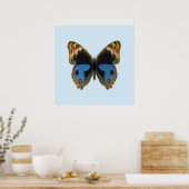 Blauer Stiefmütterchen-Schmetterling Poster (Küche)