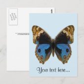 Blauer Stiefmütterchen-Schmetterling Postkarte (Vorne/Hinten)