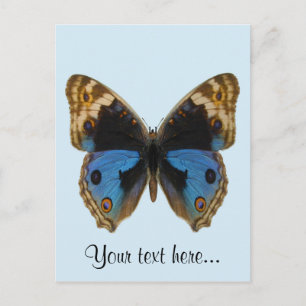 Blauer Stiefmütterchen-Schmetterling Postkarte