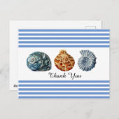 Blauer Streifen mit Muscheln Postkarte (Vorne/Hinten)