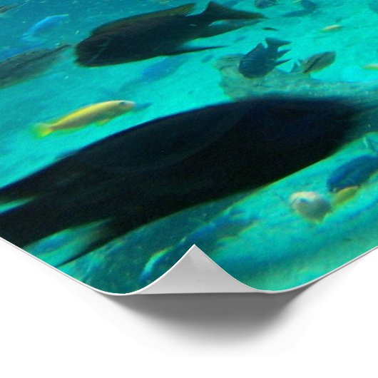 Blauer Swimmingpool mit Wasserpfeifen, der um das Poster (Ecke)