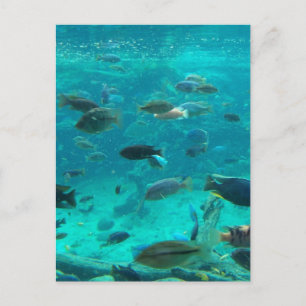 Blauer Swimmingpool mit Wasserpfeifen, der um das Postkarte