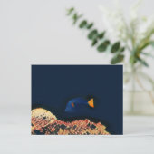 Blauer Tang Fisch Postkarte (Stehend Vorderseite)
