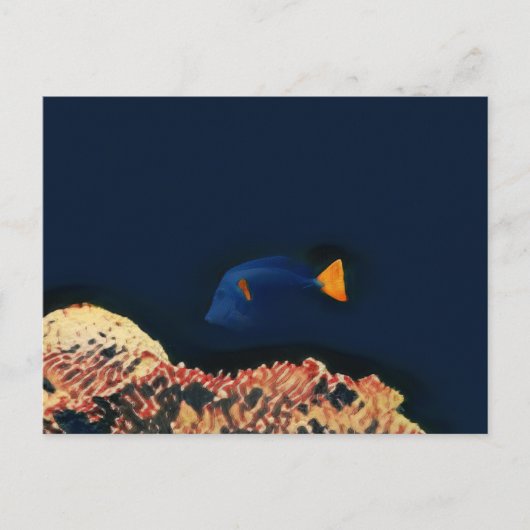 Blauer Tang Fisch Postkarte (Vorderseite)