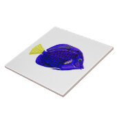 Blauer Tang Fliese (Seite)