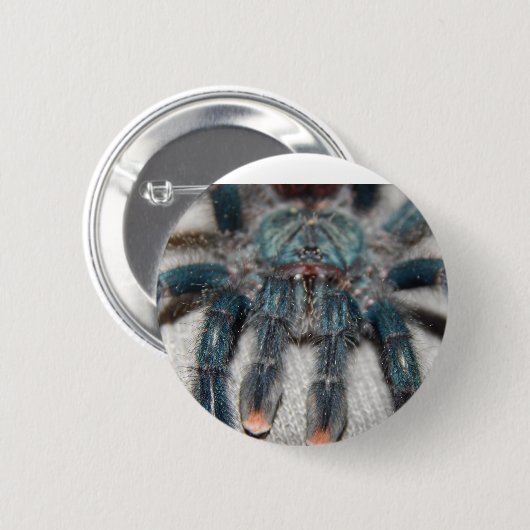 Blauer Tarantel Button (Vorne & Hinten)